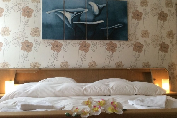 Hotel B&B Auberge du Château (Vianden)